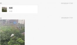 陈女士爆料最新新闻消息,最新新闻事件深度解析