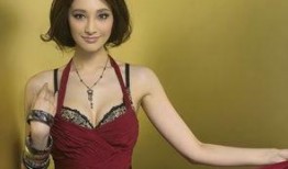 吴佩慈最新爆料,揭秘豪门背后的惊人真相