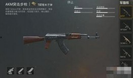 吃鸡最新突击步枪枪爆料